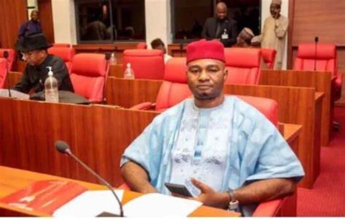 Onyekachi Nwebonyi, senator representing Ebonyi north senatorial district