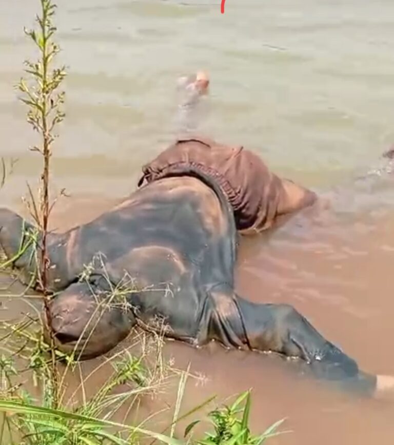 Anambra Mystery: Decomposing Body Discovered in Amaokpala ‘Deity Lake’