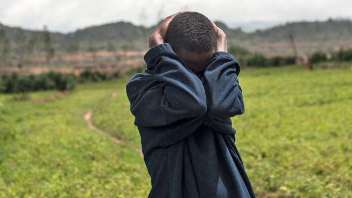 The Underreported Tragedy of Child Herders in Plateau State