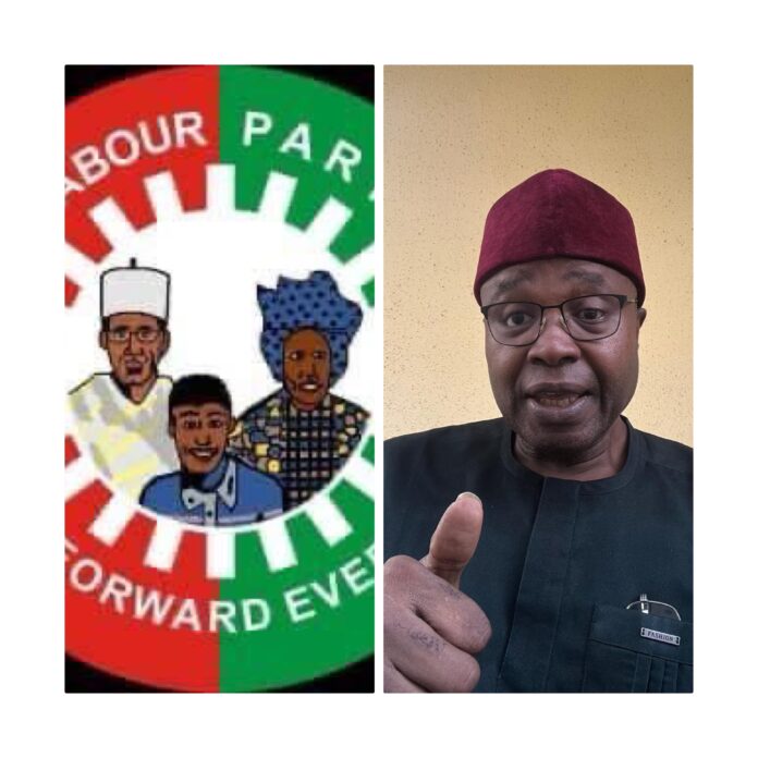 Diaspora Labour Party Chapter Enthusiastically Endorses Bold, Free Nomination Forms to Empower Youth and Women Leaders for a New Nigeria