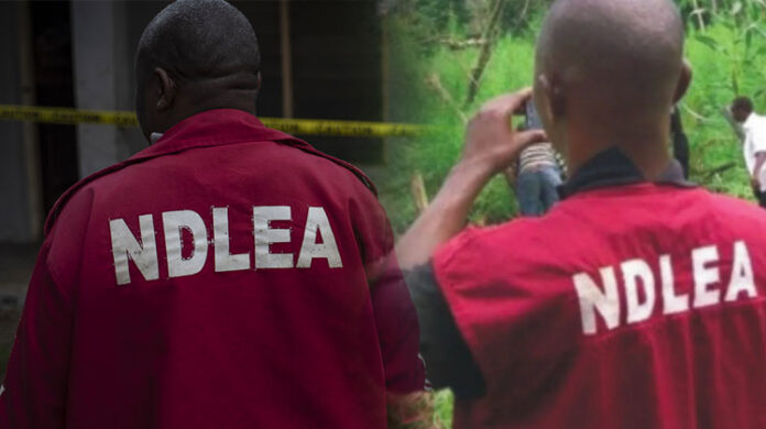 NDLEA Bullet Hits Teenager in Stomach as Operatives Open Fire During Chaotic Drug Raid in Bakassi