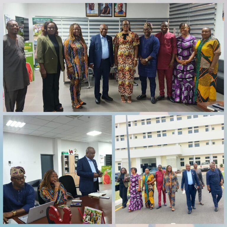 FirstPower Visits Anambra SSG, Seeks Stronger Partnership with Govt for Improved Service Delivery, Energy Theft Reduction