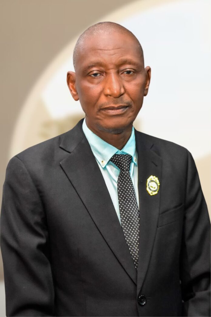 State police in Nigeria: understanding the true position of the proposed constitutional framework
