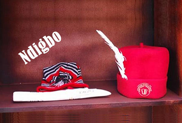 'Comb Your Forests and Clear Everything' – Igbo Youth Group Issues Defiant Mobilisation Call Against Invasions