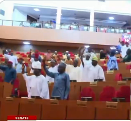 BREAKING: Security Reform: Senate Begins Manual, Clause-by-Clause Voting on State Police Bill