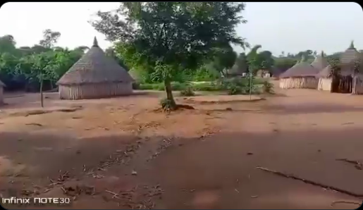 Local Vigilantes Locate Isolated Fulani Settlement In Asaba Forest; Community Urges Calm