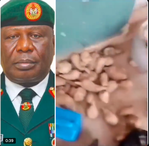 The Hungry Soldier: Inside the Logistics and Welfare Crisis Crippling Nigeria’s Forest Warfare Against Bandits