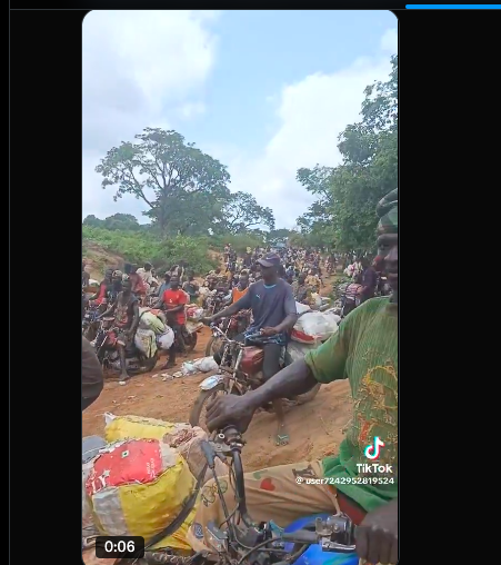 The Lithium Cabal: How Okada Syndicate Rakes In Millions Transporting Illegal Earth Minerals From Old Oyo National Park