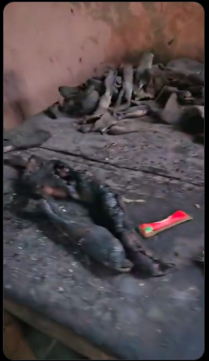 TOXIC KPOMO SCANDAL IN NNEWI: Security Raid Uncovers Chemically Preserved Donkey Skin Syndicate, Rescues Trafficked Children