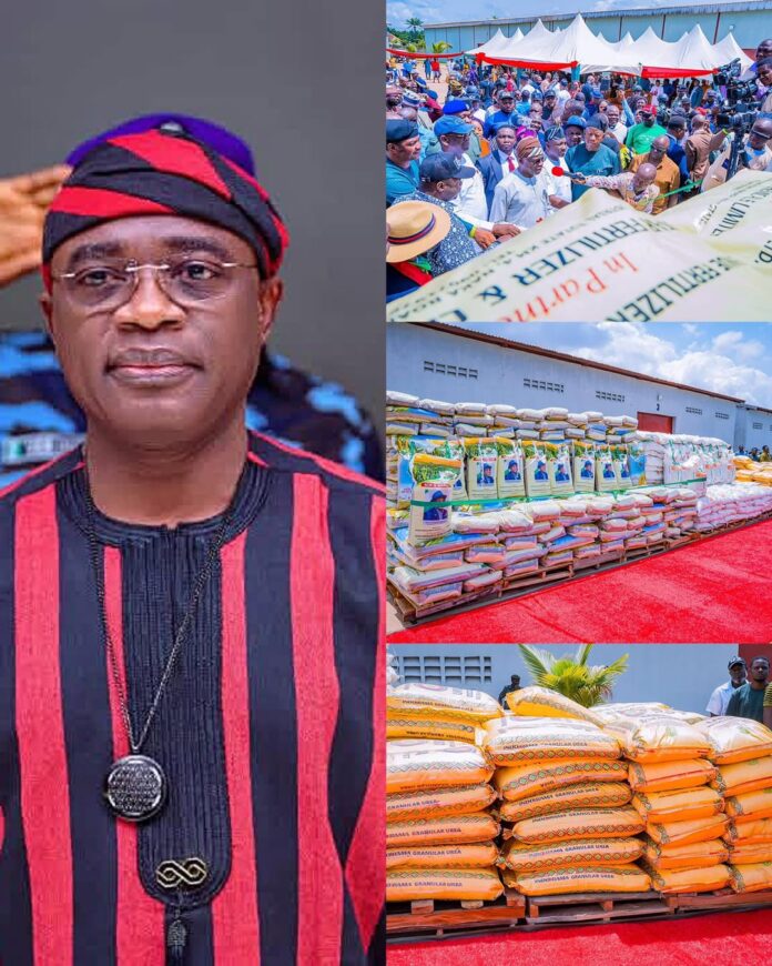 Governor Alia’s Subsidized Fertilizer Labeled A Political Gimmick As Insecurity Keeps Benue Farmers In IDP Camps