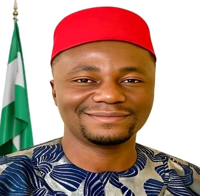 Anambra Local Government Chairman Sentenced to 5 Years in U.S. Prison Over $3.5M Romance Scam