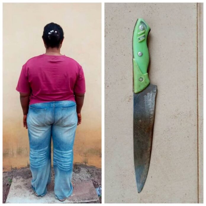 SAVED FROM THE BLADE: Police Release Identities of Housewife and 12-Year-Old Niece in Horrific Umuahia Knife Attack