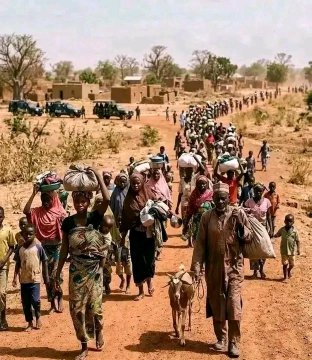 Hausa Group Accuses Tinubu Administration of Neglecting Northern Massacres While Favoring Other Regions