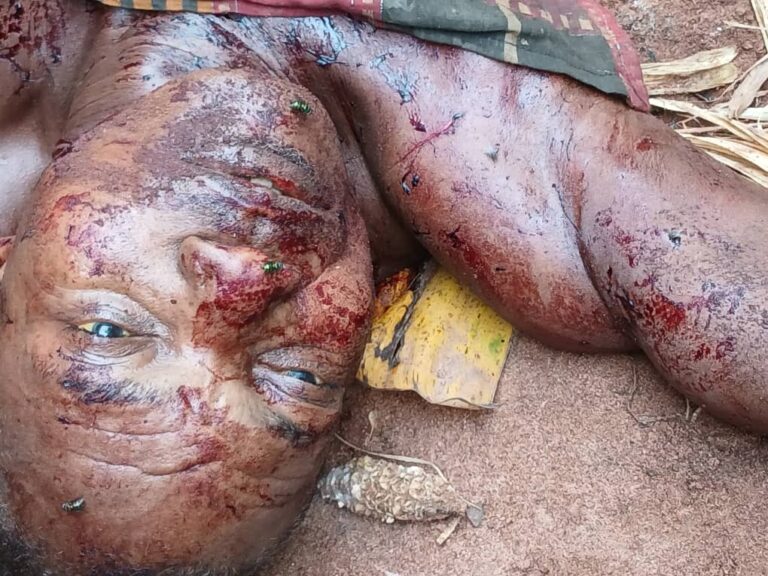 HORROR IN PETER OBI TOWN: Son Arrested After Murdering Father, Severing Genitals In Anambra State