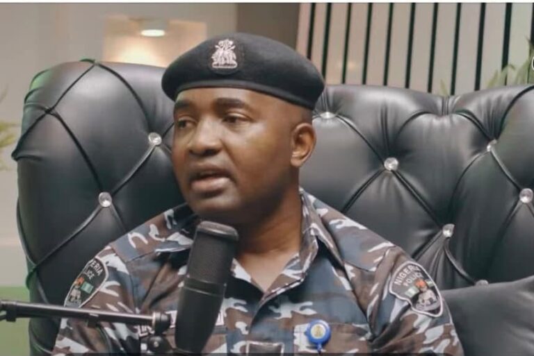 Alleged Fraud: Police Arrest Nnaji in Anambra, Christopher, Musa, Others on the Run