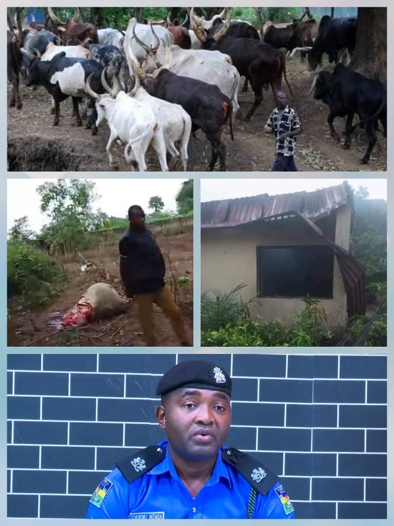 Gunmen Invade Fulani Camp in Anambra, Kill Four Brothers, Slaughter Cattle, Burn Houses