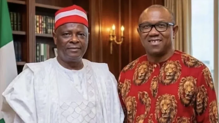 POLITICAL REALIGNMENT: Internal Friction Hits OK Movement as Kwankwaso's Spokesman Points to Saboteurs Amid Reports of Obi's Displeasure