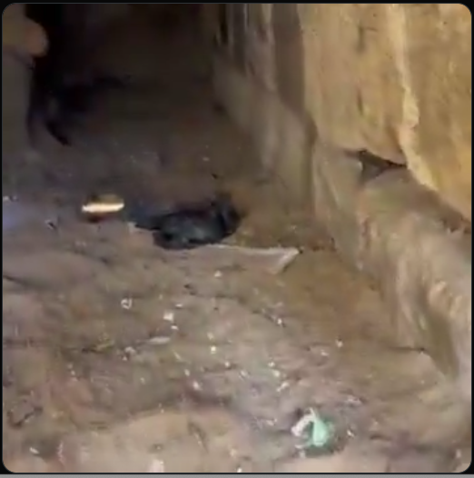 NDLEA Uncovers Hidden Underground Drug Bunker Beneath Commercial Shops in Kano’s Brigade Hub