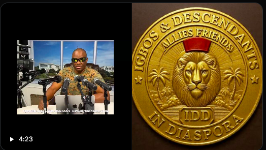 DIASPORA STEPS IN: New Global Group 'IDD' Forms Worldwide, Rallies Igbo Youth for Aggressive Regional Self-Defense