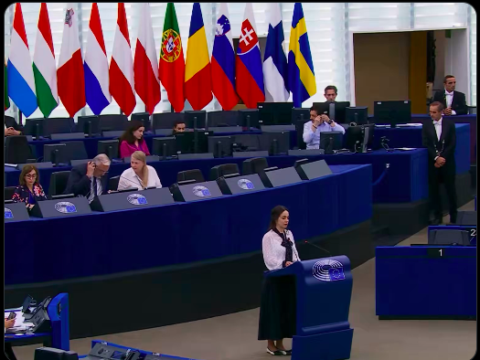 INTERNATIONAL RECOGNITION: Activists Applaud Global Tracking as European and US Watchdogs Acknowledge "Fulani Ethnic Militia" Violence