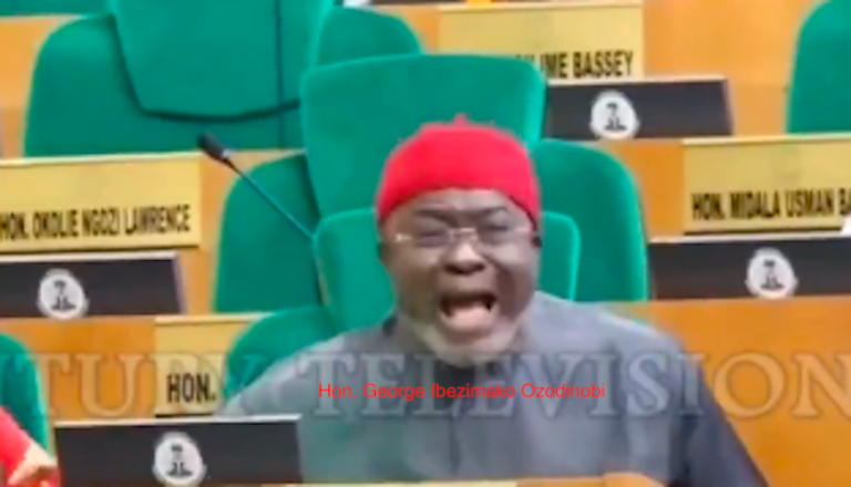 "SHUT UP! SIT DOWN!": Hon. George Ibezimako Ozodinobi Leads Furious Opposition Onslaught Against Hon. Gagdi Over Motion To Summon President Tinubu On Budget, N1.3 Billion "Fake Agency" Scandal