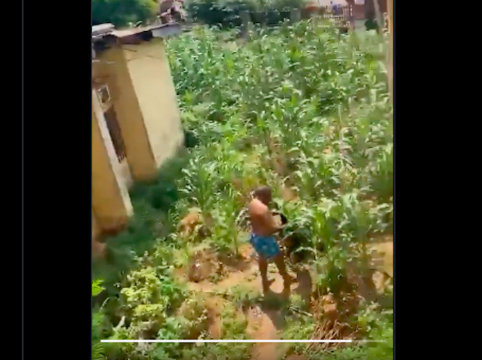 SCANDAL AT UNIZIK: Panic as Lecturer Reportedly Flees Half-Naked Through Window After Being Caught in Compromising Position
