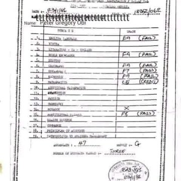 Fact-Check: Did Peter Obi Go to University Before Secondary School? Unpacking the Digital Discrepancy