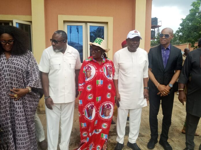Sen Ekwunife Dismisses Division In Anambra APC