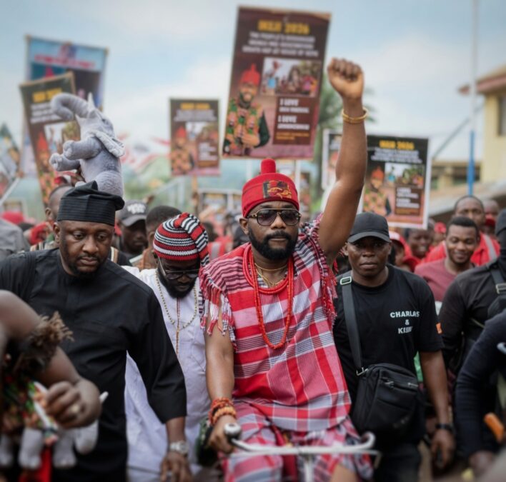 FCT High Court Restrains Imo Govt, Police, Others From Vandalizing Ikenga Ugochinyere’s Billboards, Blocking Political Rallies