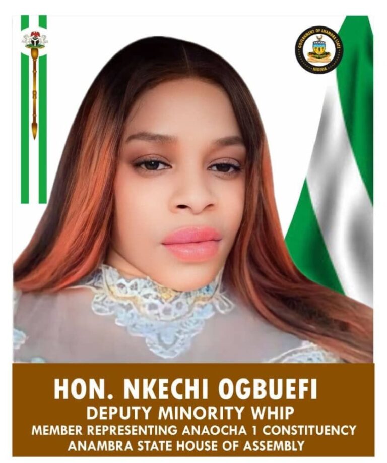 Confusion In Anambra NDC Over Candidacy Of Obi’s Constituency