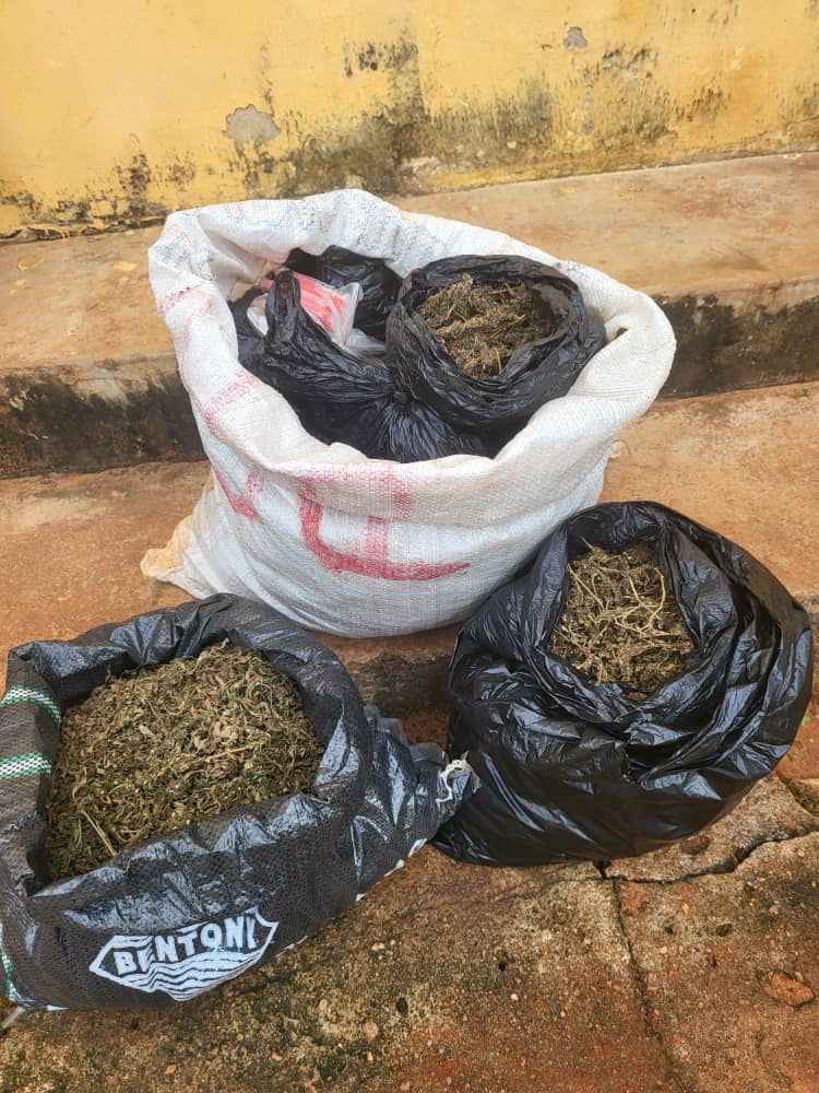 Anambra Police Arrest 28-Year-Old Man with Colos, Other Illicit Drugs Worth over ₦5.8 Million on Election Day