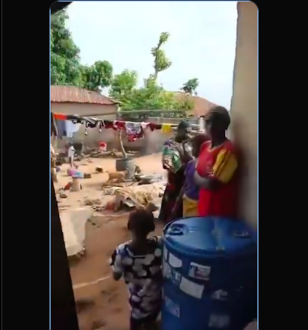 KWARA BLOODSHED: Armed Bandits Kill Woman, Injure Several in Fresh Attack on Lata Nna, Patigi LGA