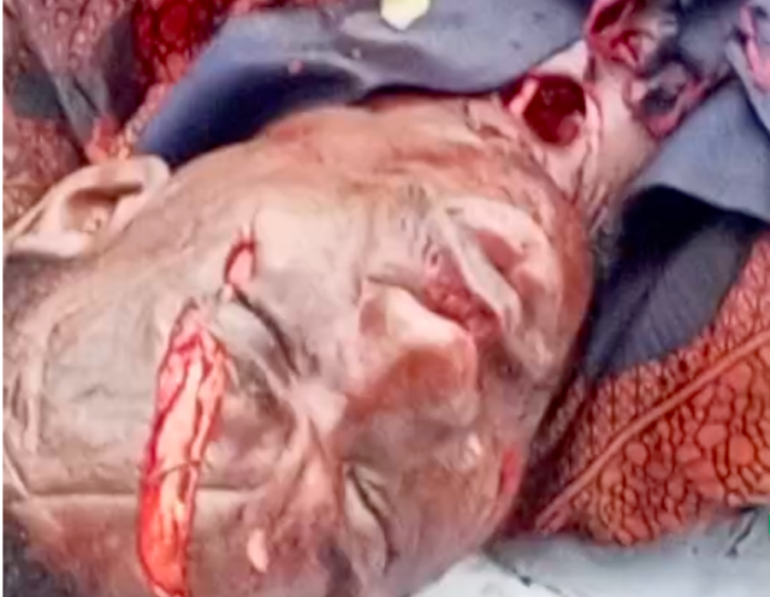Alleged Serial Offender Arrested in Aguluzigbo Over Brutal Murder Inside Enwedo Shrine