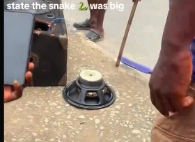 PANIC AT OCHANJA MARKET: Commotion In Onitsha As Repairer Finds Live Snake Inside Pastor’s Sound Speaker