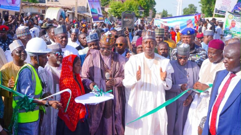 Zulum Commissions Flyover, Roads, Two Mega Schools in Maiduguri