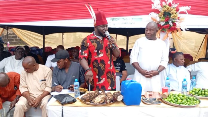 NDC, the only party that can salvage Nigeria from present quagmires - Ezenwankwo