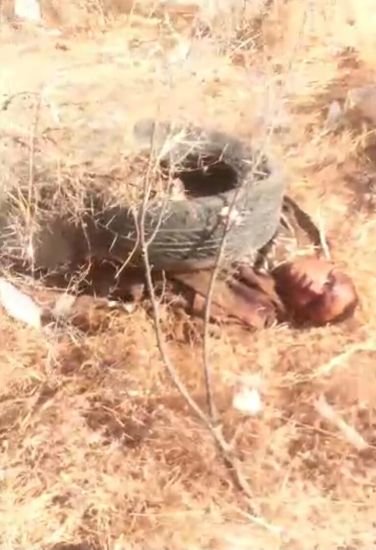 14 Bandits Killed, 3 Rescued as Local Hunters Repel Mass Kidnap Attempt in Katsina
