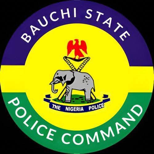 Unidentified Assailants Slit Throat of Former Bauchi APC Women Leader, Body Found in Pool of Blood